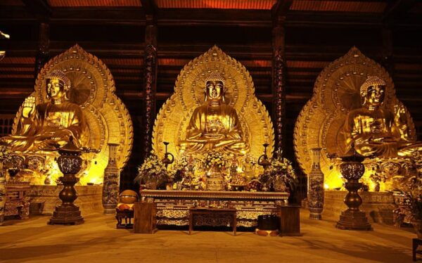 From Hanoi:Ninh Binh Tour Bai Dinh, Trang An, and Mua Cave - Transportation Options