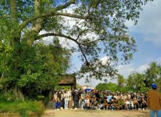 From Hanoi:Private Duong Lam Ancient Village Best Guide - Activities to Experience