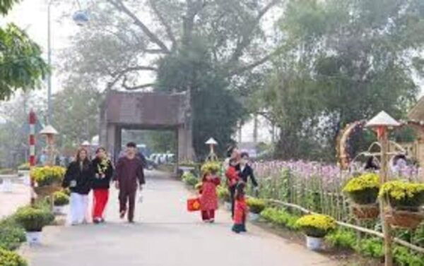 From Hanoi:Private Duong Lam Ancient Village Best Guide - Booking Information