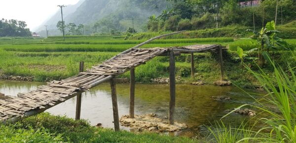 From Hanoi:Sapa 2D1N Stay at Hotel, Cat Cat,Lao Chai, Ta Van - Transportation Information
