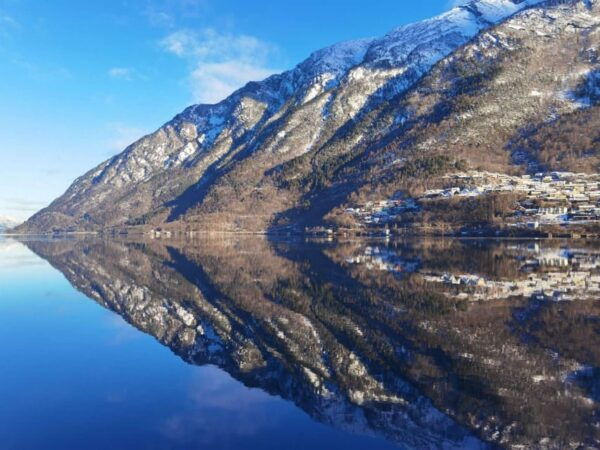 From Haugsund: Preikestolen (Pulpit Rock) Guided Day Trip - Tour Guide and Languages