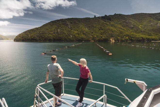 From Havelock: Marlborough Sounds Mail Boat Full-Day Cruise - Directions and Important Information