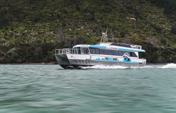From Havelock: Marlborough Sounds Mail Boat Full-Day Cruise - The Sum Up