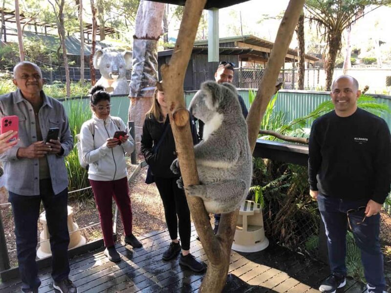 From Haymarket: Hunter Valley Wine and Wildlife Day Trip - Who Will Love This Tour?