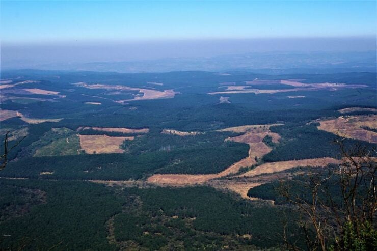 From Hazyview: Panorama Tour Highlights - Tour Pricing and Duration