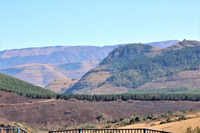 From Hazyview: Panorama Tour Highlights - Experience and Cancellation Policy