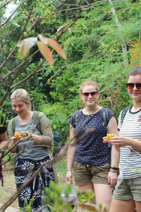 From Hcm: 2 Days Mekong–Ben Tre-Can Tho–Cai Rang Floating - Good To Know