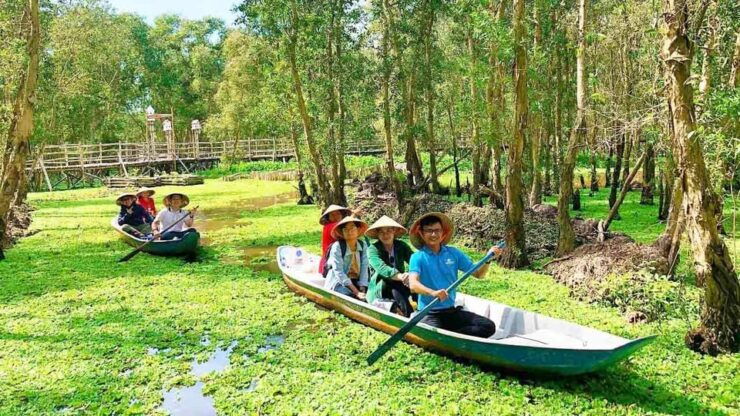 From Hcm: 3 Days Cai Rang, Tra Su Forest, Prince Koi Coffee - Good To Know