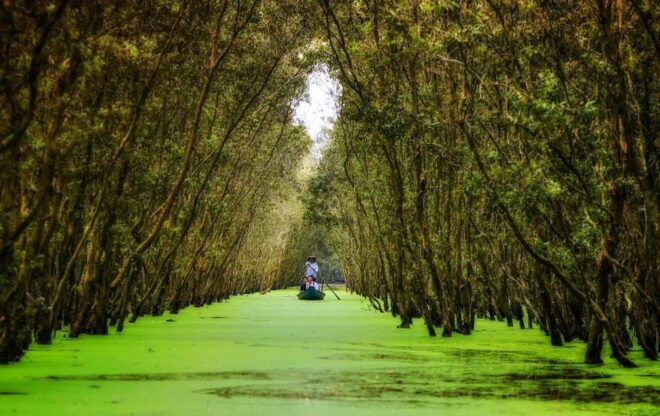 From Hcm: 3 Days Cai Rang, Tra Su Forest, Prince Koi Coffee - Day 3 Highlights
