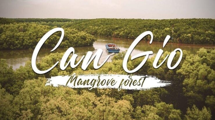 From Hcm: Can Gio Monkey Island- Mangrove Forest Daily Group - Good To Know
