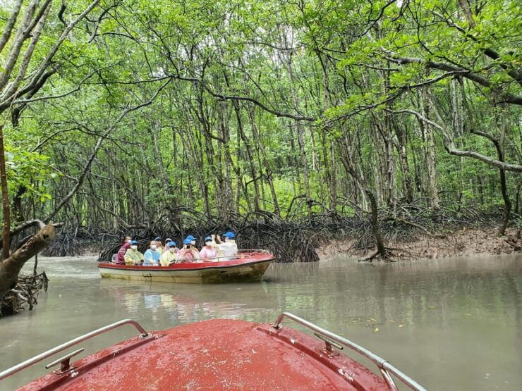 From Hcm: Can Gio Monkey Island- Mangrove Forest Daily Group - Activities and Highlights