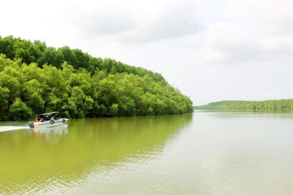 From Hcm: Can Gio Monkey Island- Mangrove Forest Daily Group - Additional Recommendations