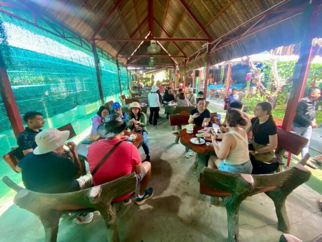 From HCM: Cu Chi Tunnel & Mekong Delta Full Day Tour - Mekong Delta Activities