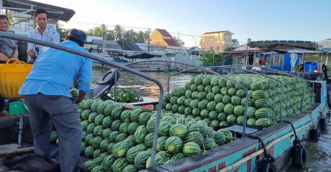 From HCM: Explore Mekong Delta & Floating Market For 2 Days - Vinh Trang Pagoda