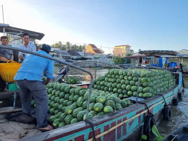 From HCM: Explore Mekong Delta & Floating Market For 2 Days - Additional Information and Booking