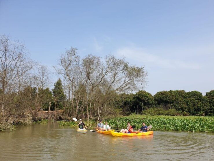 From HCM: Mekong Delta Cai Be Vinh Long Cooking Class Kayak - Itinerary Highlights