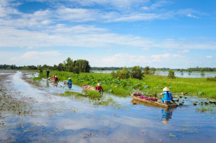 From HCM: Mekong Delta & Cai Rang Floating Market 2-Day Tour - Tour Details