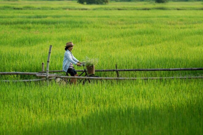 From HCM: Mekong Delta & Cai Rang Floating Market 2-Day Tour - Visit My Tho and the Mekong River