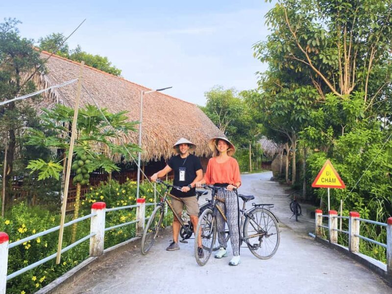 From HCM: Mekong Delta Journey, Bee Farm, Tropical Fruits - Practical Details and Considerations