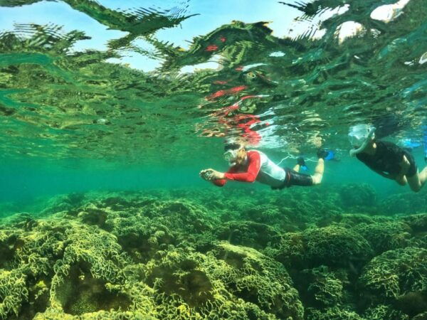 From HCM: Mekong Delta Phu Quoc Package 7 Days Private Tour - Group Size and Guide