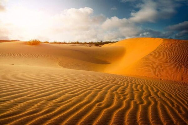 From HCM: Mui Ne Beach - A Beautiful Beach With Blue Waves - Frequently Asked Questions