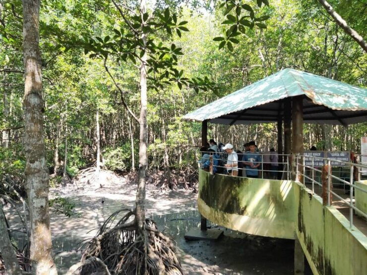 From HCM: Tour Can Gio Island Full Day Private Available - Good To Know