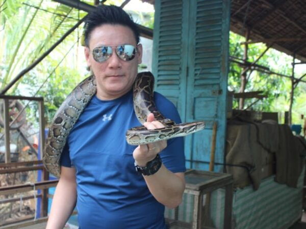 From HCMC Explore Cu Chi Tunnels Full-Day Mekong Delta. - Tour Highlights