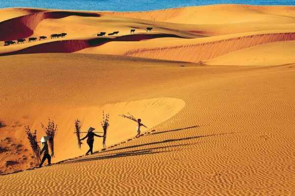 From Hcmc: Hide From the Sun at Mui Ne Beach - Private Group Opportunities