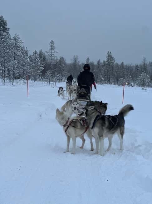 From Helsinki: 7-Day Lapland Northern Lights Tour - Santa Claus Village & Cross the Arctic Circle