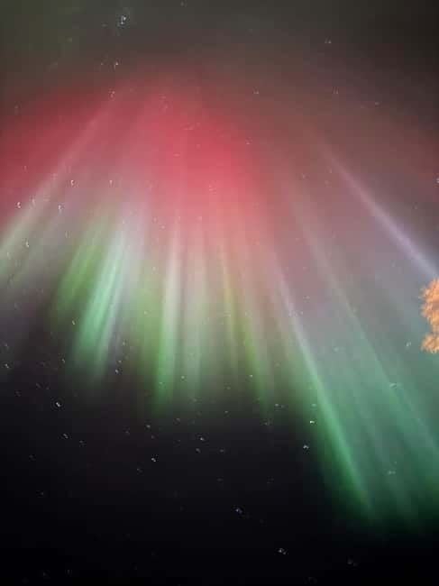 From Helsinki: 7-Day Lapland Northern Lights Tour - Overall Value and Practical Considerations