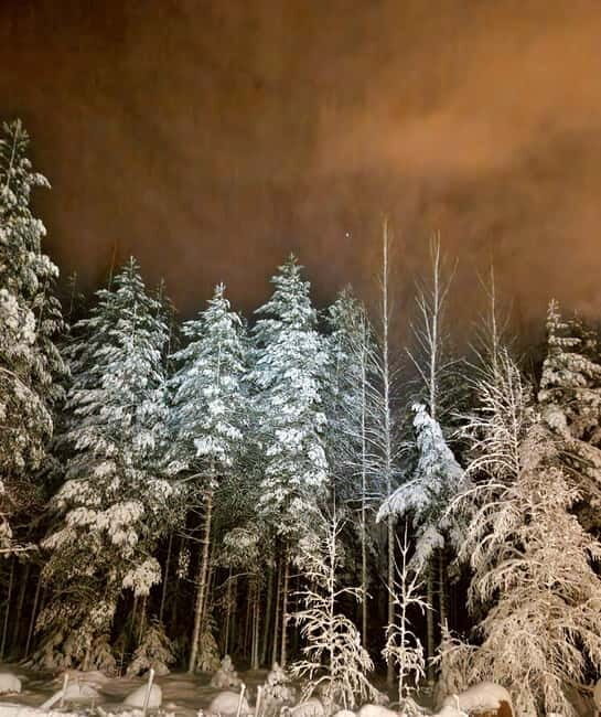From Helsinki: Guided Forest Walk in the dark with campfire - FAQs