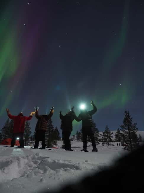From Helsinki: Guided Forest Walk in the dark with campfire - Exploring the Finnish Forest at Night: A Guided Dark Season Walk with Campfire