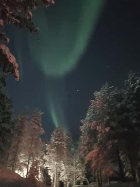 From Helsinki: Guided Forest Walk in the dark with campfire - Pricing and Overall Value