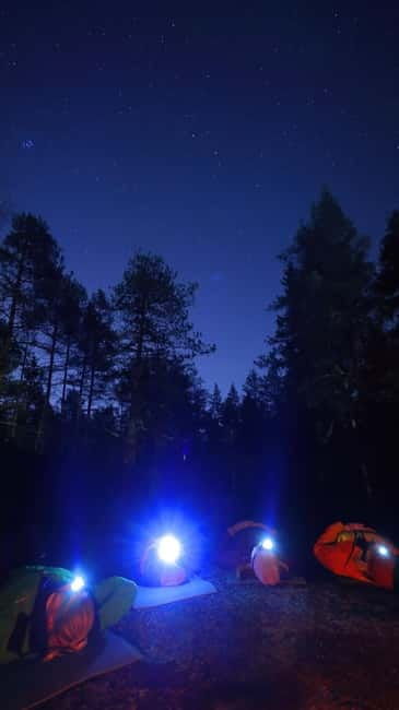 From Helsinki: Guided Forest Walk in the dark with campfire - Practical Tips for Your Forest Night Walk