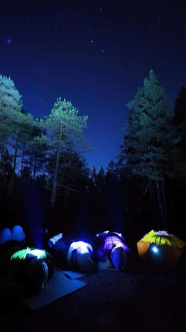 From Helsinki: Guided Forest Walk in the dark with campfire - The Sum Up