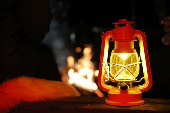 From Helsinki: Guided Forest Walk in the dark with campfire - FAQ