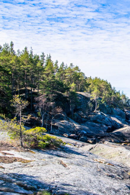 From Helsinki: Guided Tour of Porkkalanniemi Peninsula - Experience Highlights