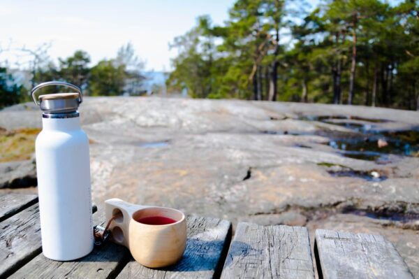 From Helsinki: Guided Tour of Porkkalanniemi Peninsula - Tips for Participants