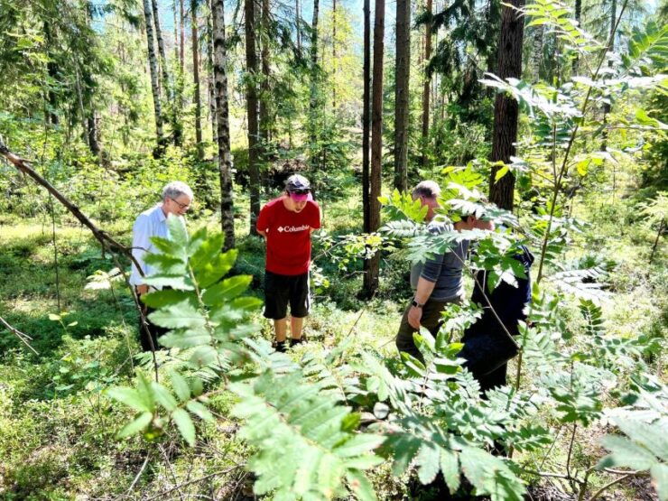 From Helsinki: Hike and Sauna in Sipoonkorpi National Park - Activity Details