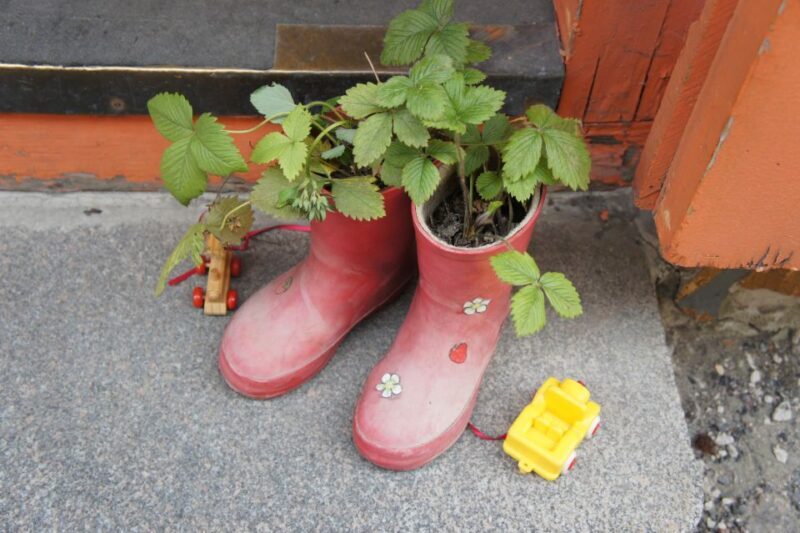 From Helsinki: Luxury Trip to Tallinn Ferry +VIP Car+ Lunch - Practical Details & Tips