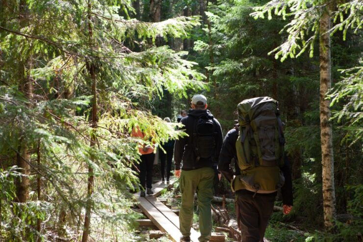 From Helsinki: Mushroom Hunting Tour in a National Park - Tour Details