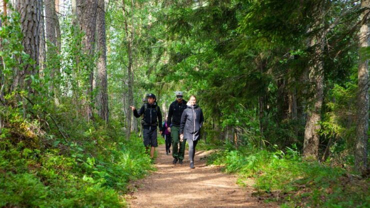 From Helsinki: National Park Berry Picking Day Trip & Lunch - Booking Information