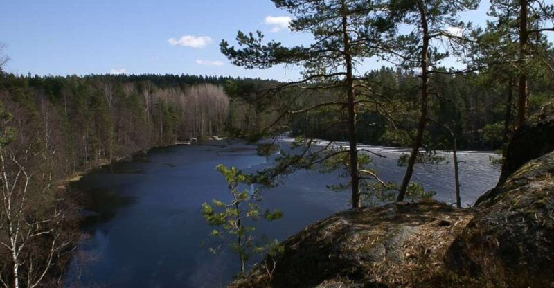 From Helsinki: Nuuksio National Park Half-Day Trip - Good To Know