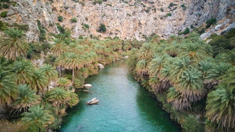 From Herakleion: Day Trip to Preveli Palm River Beach - Authentic Experiences and Tips from Reviewers