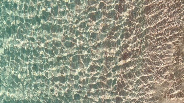From Heraklion: A Beach Getaway to Elafonisi Pink Sand Beach - Additional Information