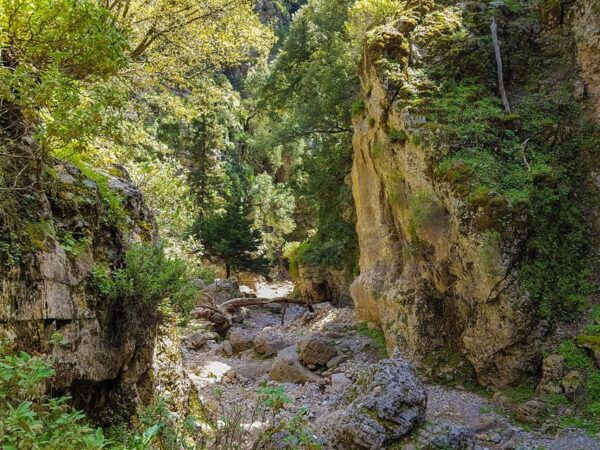 From Heraklion: Imbros Gorge Hike and Sfakia Private Tour - Inclusions and Amenities