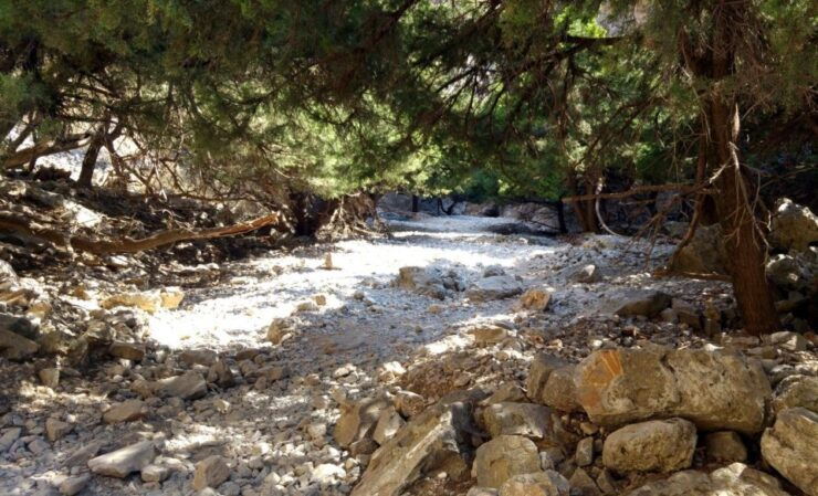 From Heraklion: Imbros Gorge Hiking Experience - Good To Know
