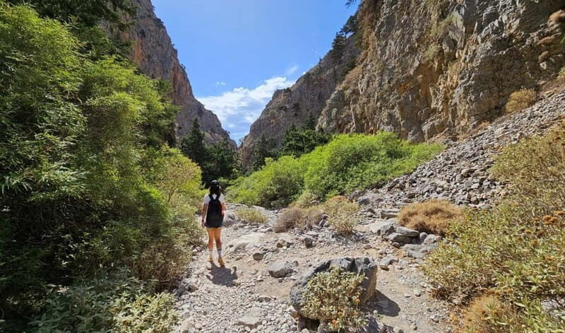 From Heraklion: Imbros Gorge Private Tour - Good To Know