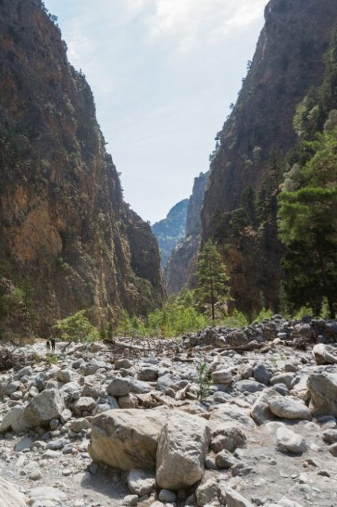 From Heraklion: Majestic Guided Hike Through Samaria Gorge - Itinerary