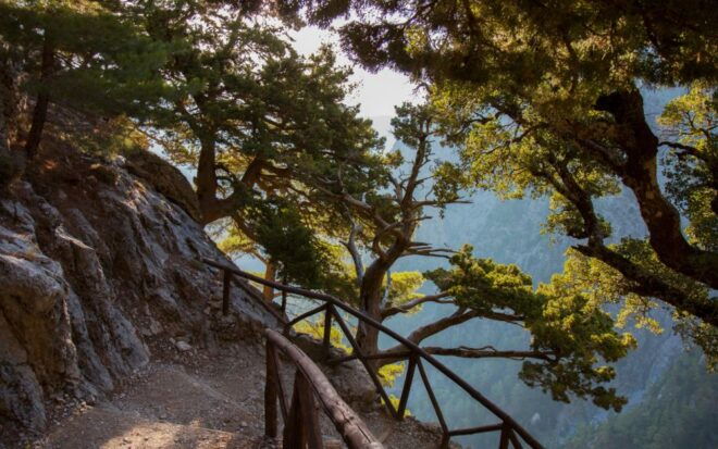 From Heraklion: Majestic Guided Hike Through Samaria Gorge - Experience Description